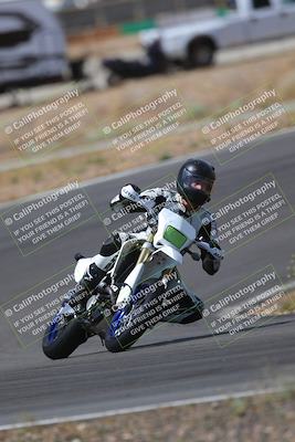 media/May-09-2022-Moto Forza (Mon) [[0226cf3505]]/Group B/B 1020am/